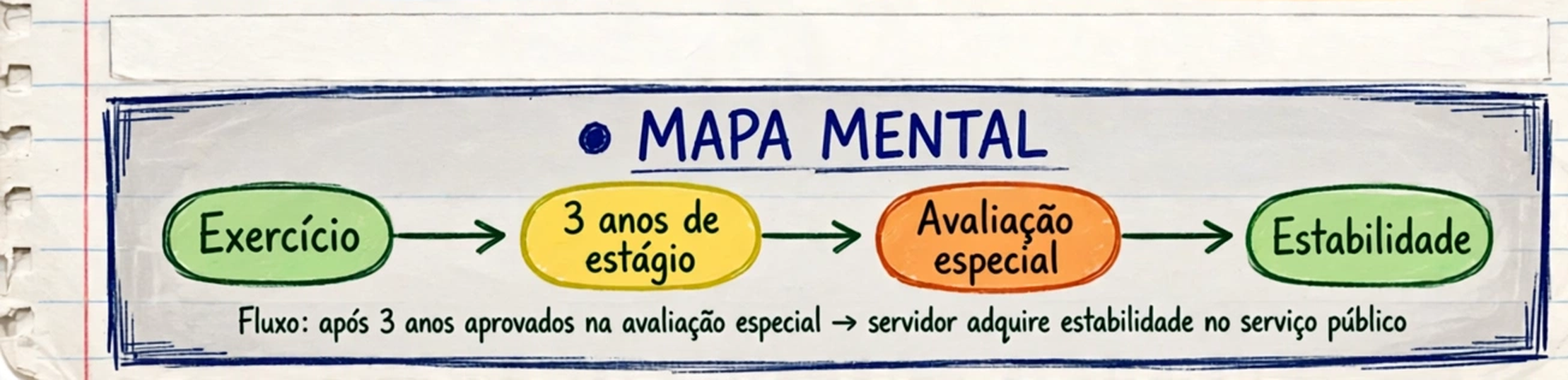 Ramo-síntese — A linha do tempo do estágio probatório